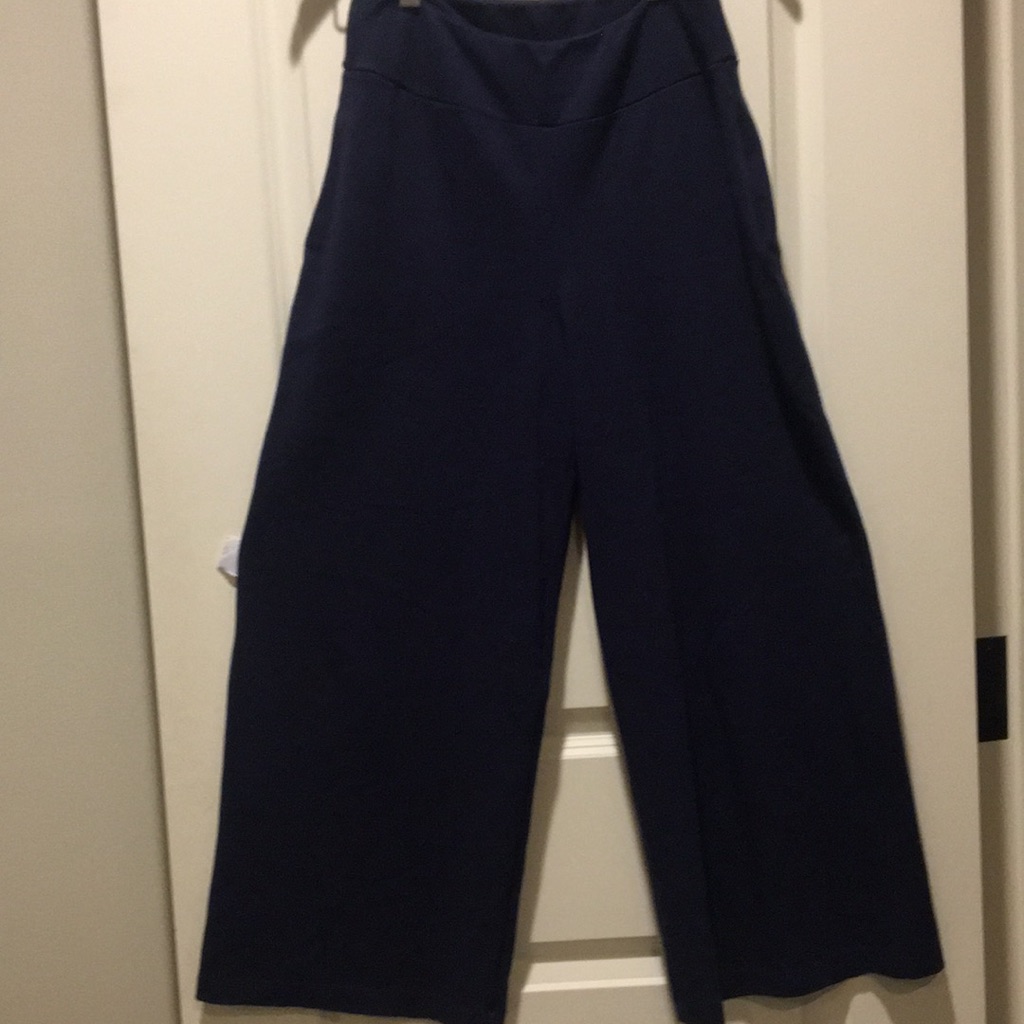 Nwot! Anthropologie Sundry Pull On Pants Wide Leg/Wide Waistband Crop Size M (2)